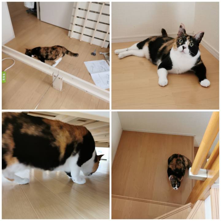 9ee30ba4 3674 42a0 ba71 0a9f6e4c5357 1655695627107