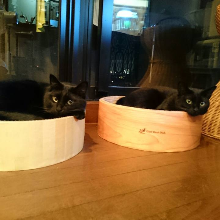 9ee359c1 e081 45e1 88b6 93601712ad83 1529672180547