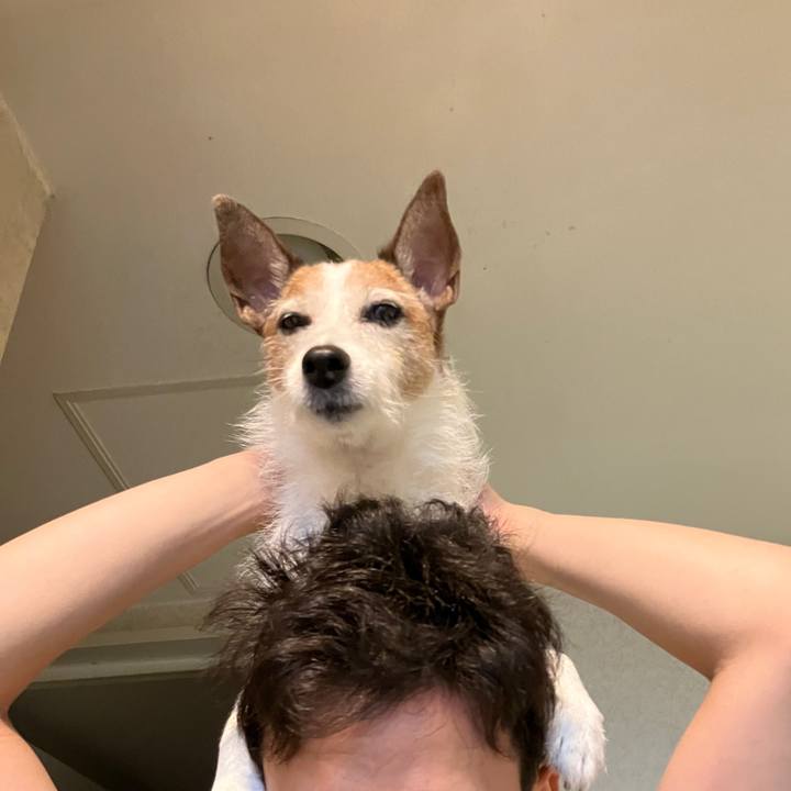 9ee359f5 0508 4c33 ab52 b70a514c44c3 1725405499397