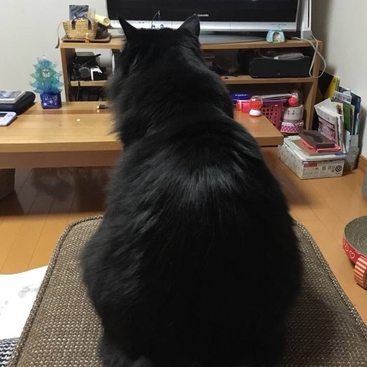 9ee3785f c97b 402b 8afa 6a2f3701139a 1546263422069