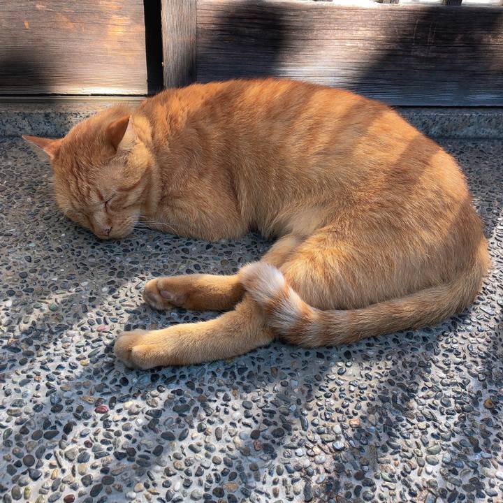 9ee3d982 462c 4fec 8861 27796a183bbb 1632184485153