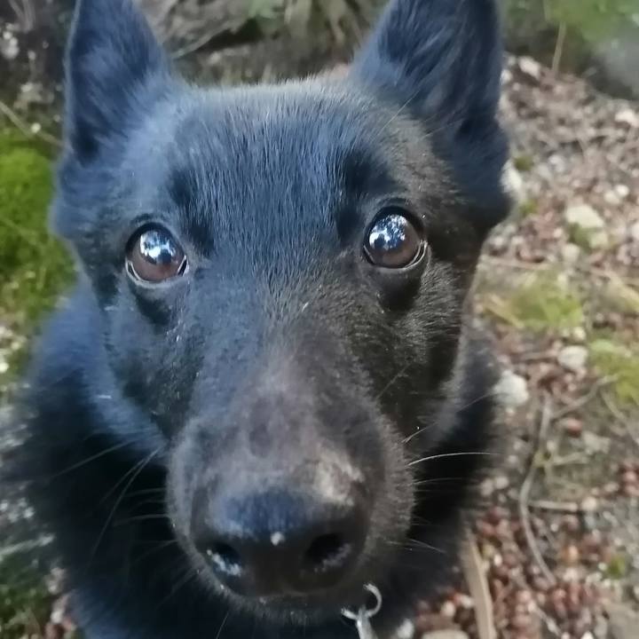 9ee3dd22 5ed9 4742 84b3 b094e23b2efa 1611786885385