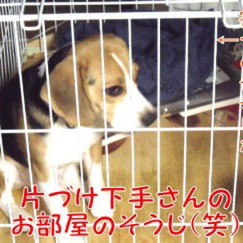 9ee3de71 283c 4a55 94e6 2c837f999c75 1687133482027