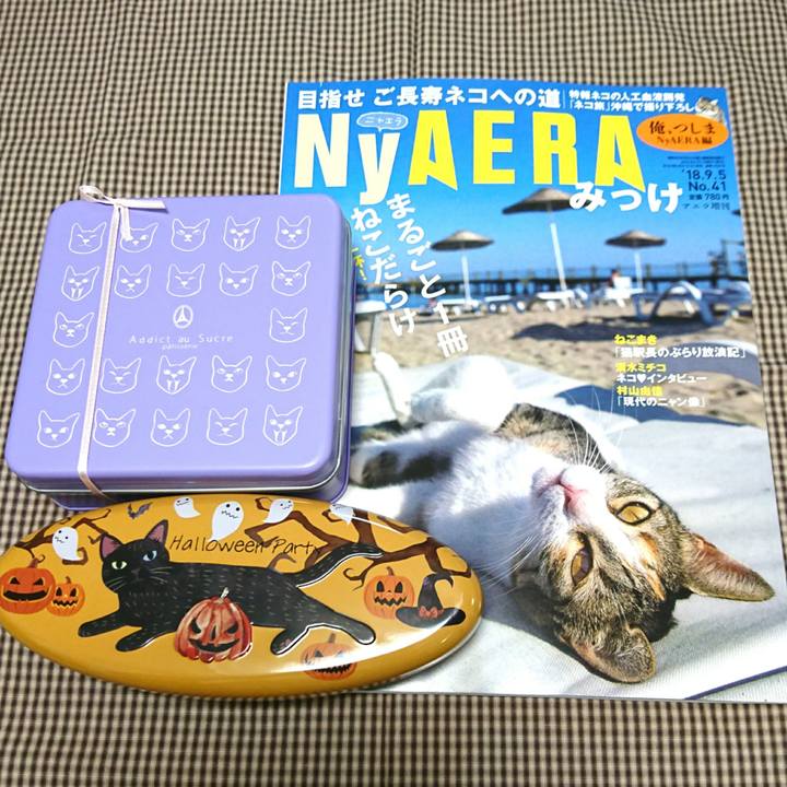 9ee40ed2 f18a 4f84 85bd 447237450f06 1535544109432