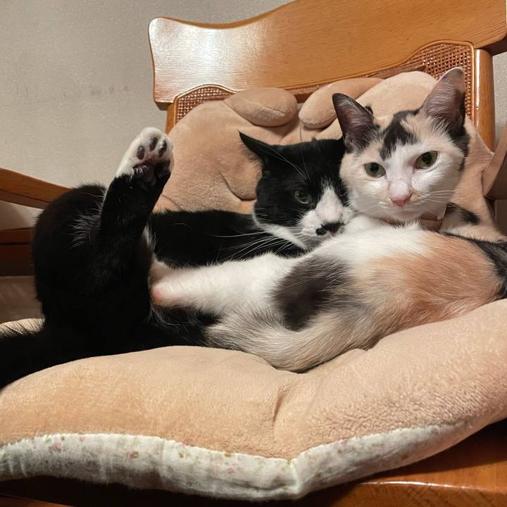 9ee415ee ed44 449b 9e03 adb96247507f 1731940044774