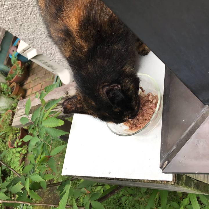 9ee42ac0 3604 487c 9dd0 0fb6172cf5cb 1594112488099