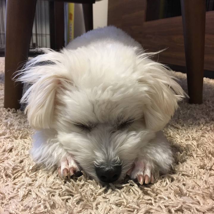 9ee44881 5426 4975 bd9d 49256e167b3a 1541983677514