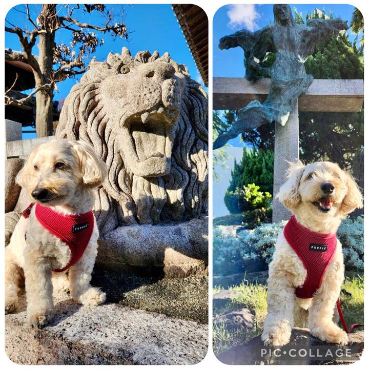 9ee45041 2676 4235 b7c7 6a0fd80900c2 1762251117256