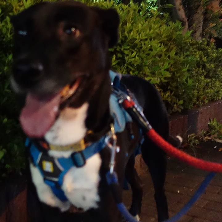 9ee4dc7c cd31 476e 97e3 1960a11d8e44 1632307151551