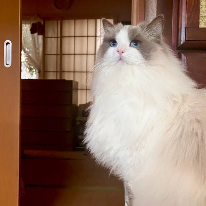 9ee4efcc 36af 471a a678 d5973d8388f6 1677497671313