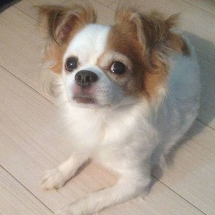 9ee5052c b02f 41c4 ba68 966b85cc66f6 1519296622688