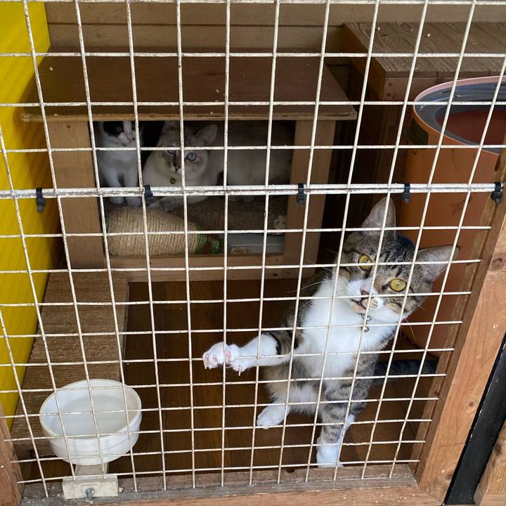 9ee520ee cba2 474b 8326 3de2630c3cce 1653619151713