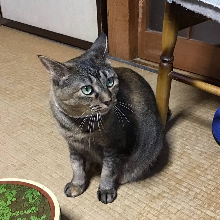 9ee53ba5 6114 44fc ae68 6ec0adecf279 1726043637031