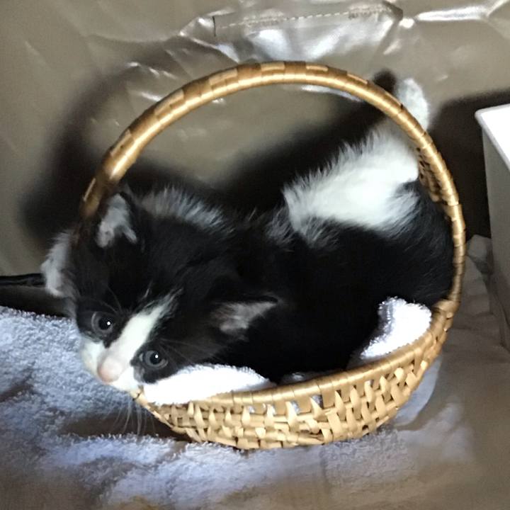 9ee55ae7 ba3e 4ea1 ad2c 9759d74df971 1748480059940