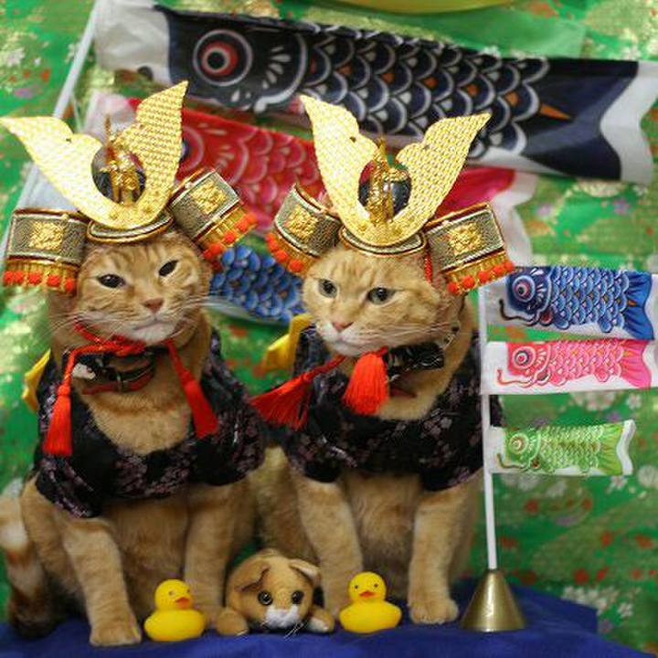 9ee56b21 8c95 4b75 9003 e2b3bb528148 1525507968616