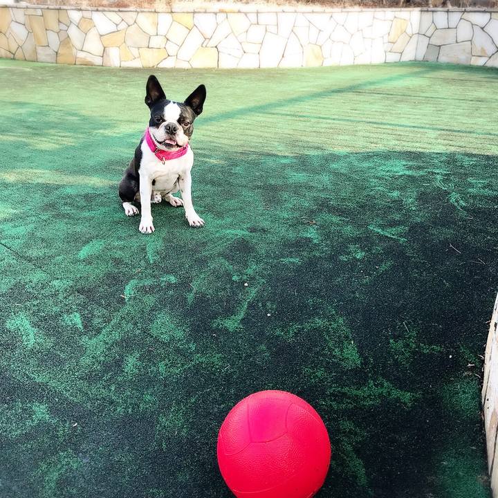 9ee58841 518e 46ab 98a5 a8f8d39d7394 1520139965762