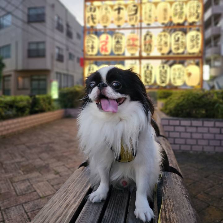 9ee5a5f4 1ad8 446e bf1f 681e4ce65c7a 1689593259164