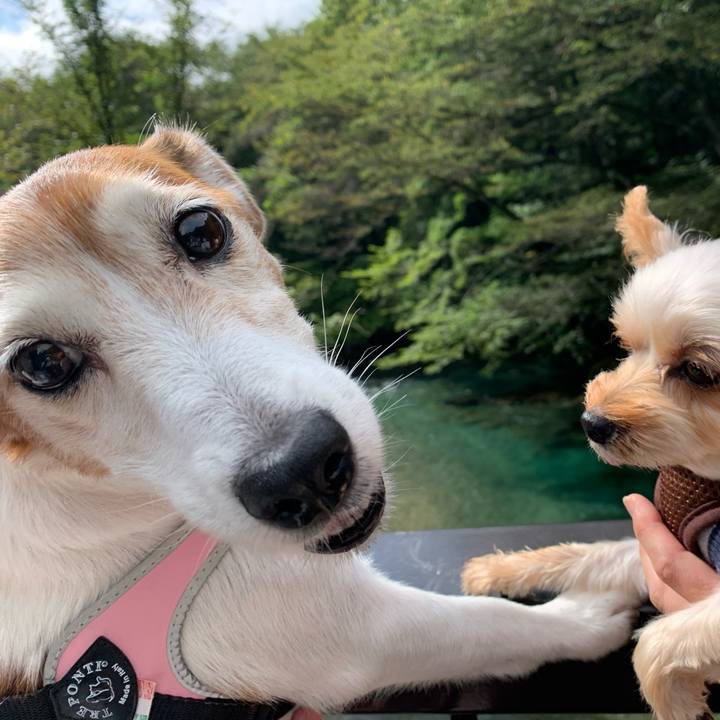 9ee5eb8b d779 43e4 8c76 33d3c78c33e3 1602684046462