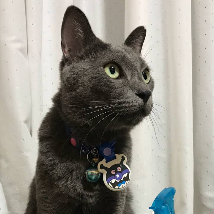 9ee5f0c1 160d 41c4 b23b f14ddd00d511 1535104617242