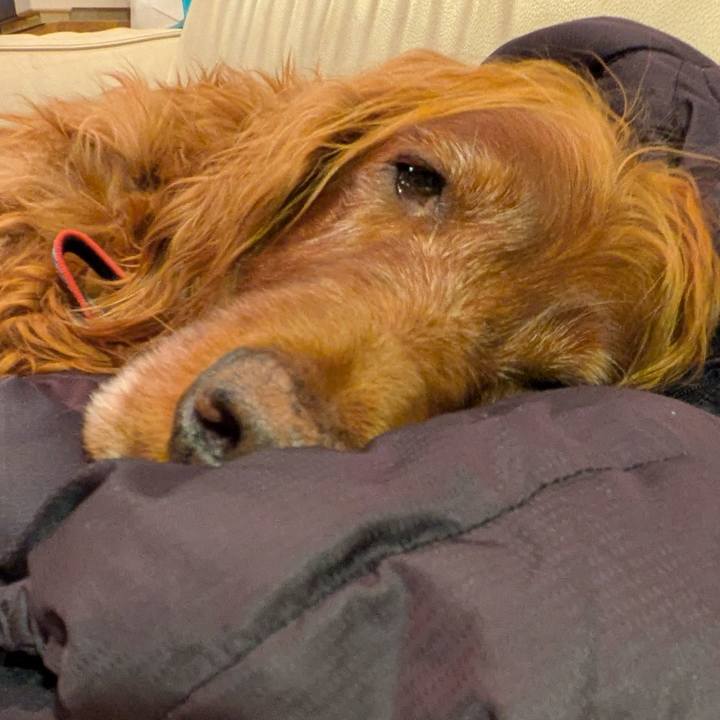 9ee5f202 fac6 4a9f 8cea ee9b435e58c1 1771056388167