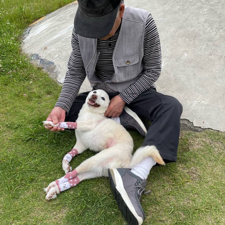 9ee5f2e5 3c02 4d0e 8a56 4e9988bf40da 1685190899856