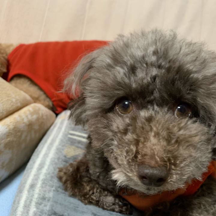 9ee60818 6e23 4393 ad06 cfb83ec33c4c 1587900204095