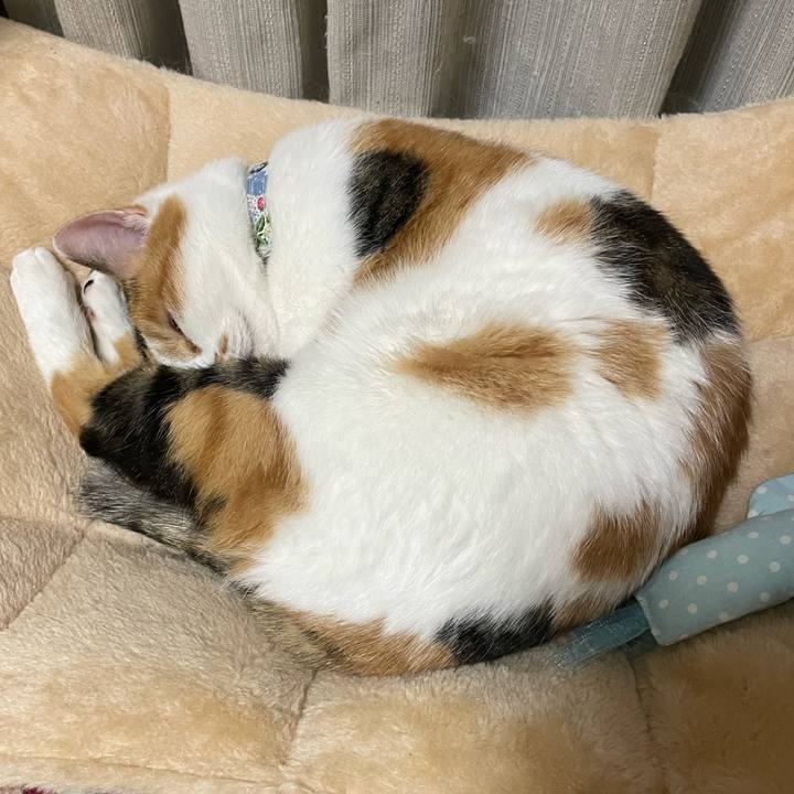 9ee6442c 12ed 4488 910f 2ba28f1fd730 1730115962084