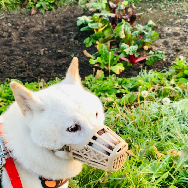 9ee669b8 30f1 4bfc 8277 94b3a2c72711 1633817128766