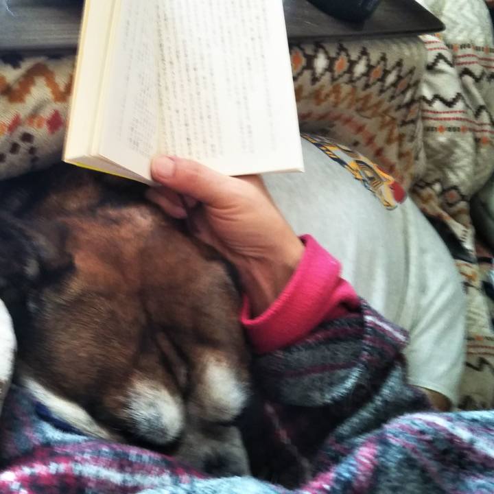 9ee67674 3abf 44cd 9c14 6cf23378f951 1579091937692