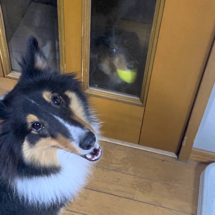 9ee6bafd 6f71 48fc bb52 69395212a2d6 1569794144341