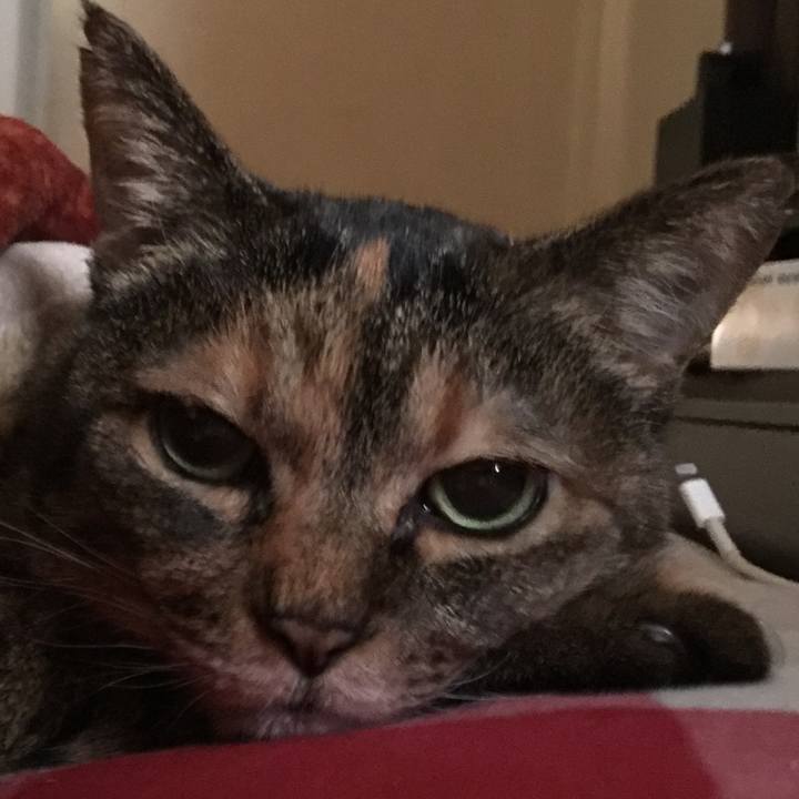 9ee6cb55 d5db 4b53 bcbc 71b7caab0148 1559821230393