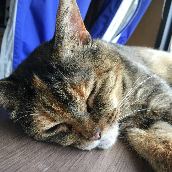 9ee70163 ef6c 4998 971f 9661e921d74c 1534220643755