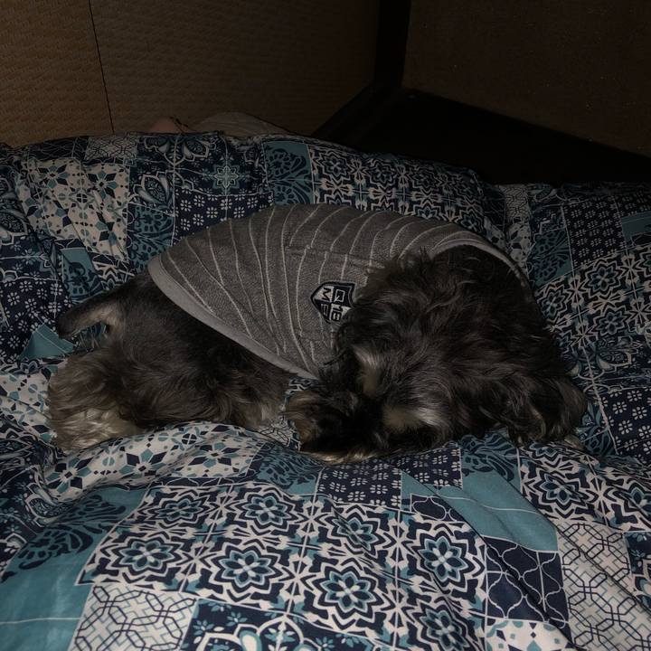 9ee72512 4504 4bf1 86a6 a2bb344ba629 1556632915085