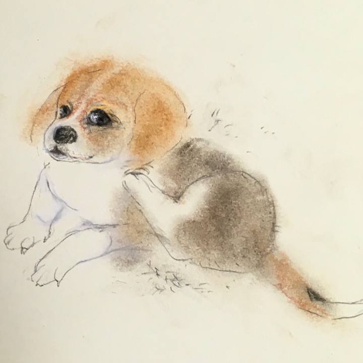 9ee77763 8c31 413e 9f16 44ee138d2f2e 1589812950834