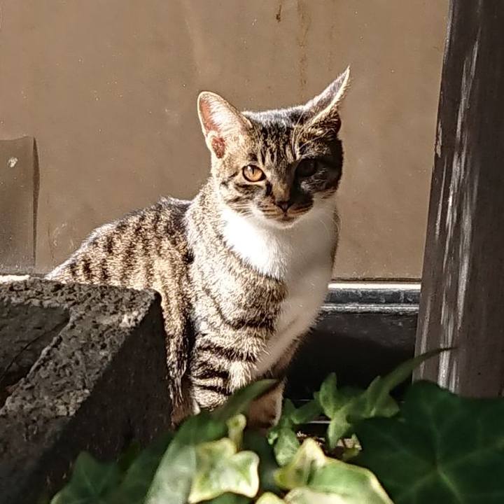 9ee7ca03 4de5 4182 a8df 9dc4c4192c70 1605070930824