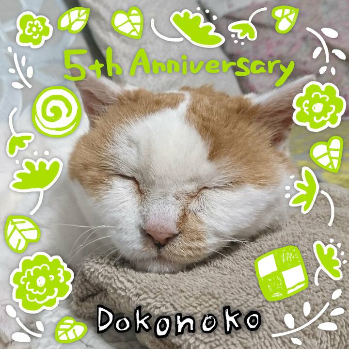 9ee7ed9f 25f8 4589 bccd 0bf6449a1270 1622910810176