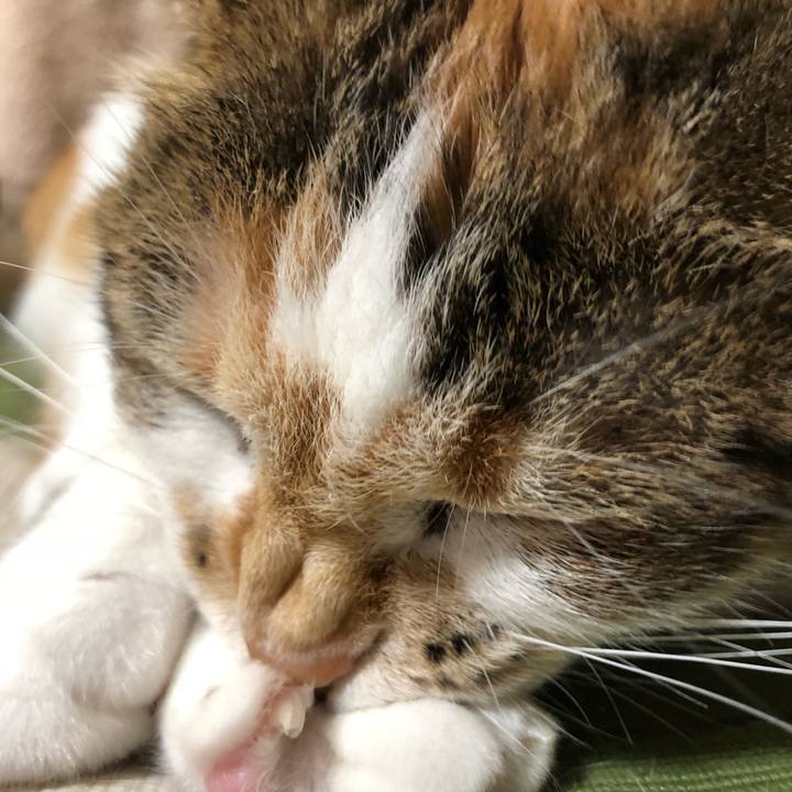 9ee7f305 03dd 46d4 b042 5bff985d9e42 1530107171548