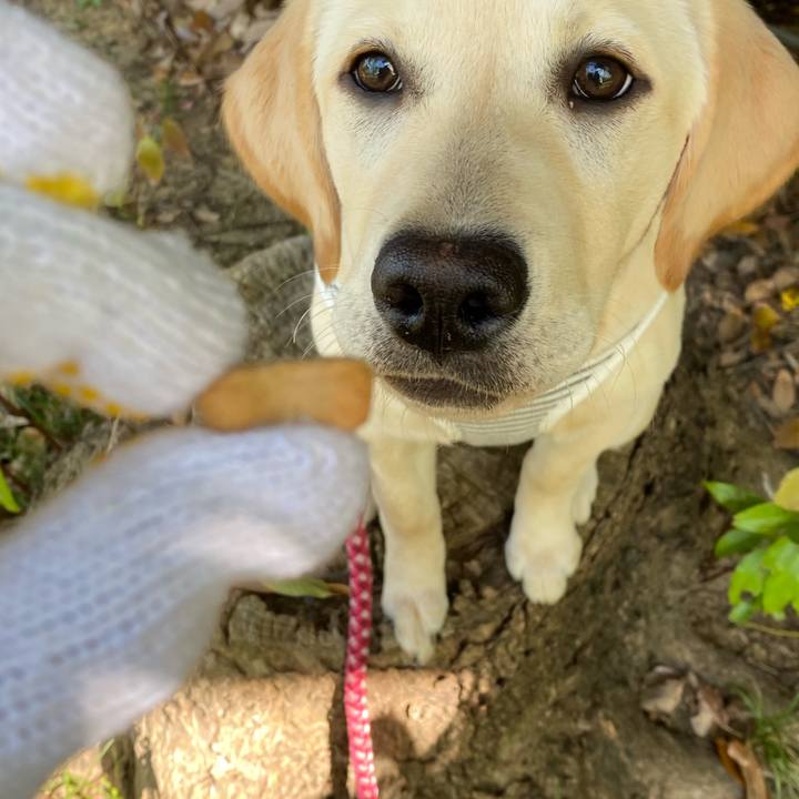 9ee827d1 b4e7 42d1 8c2f 03b6aef81a3c 1619335344361