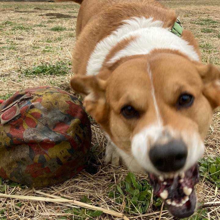 9ee87804 bd6e 4d29 9ea2 939a96b4863e 1741749906780