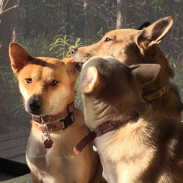 9ee881e7 9645 4536 a752 b9962c7dbcf2 1512444085551