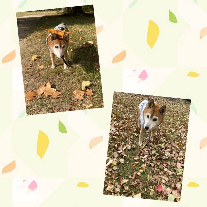 9ee8a0bd a026 46fc bb96 9ba5605f7f28 1762923188415