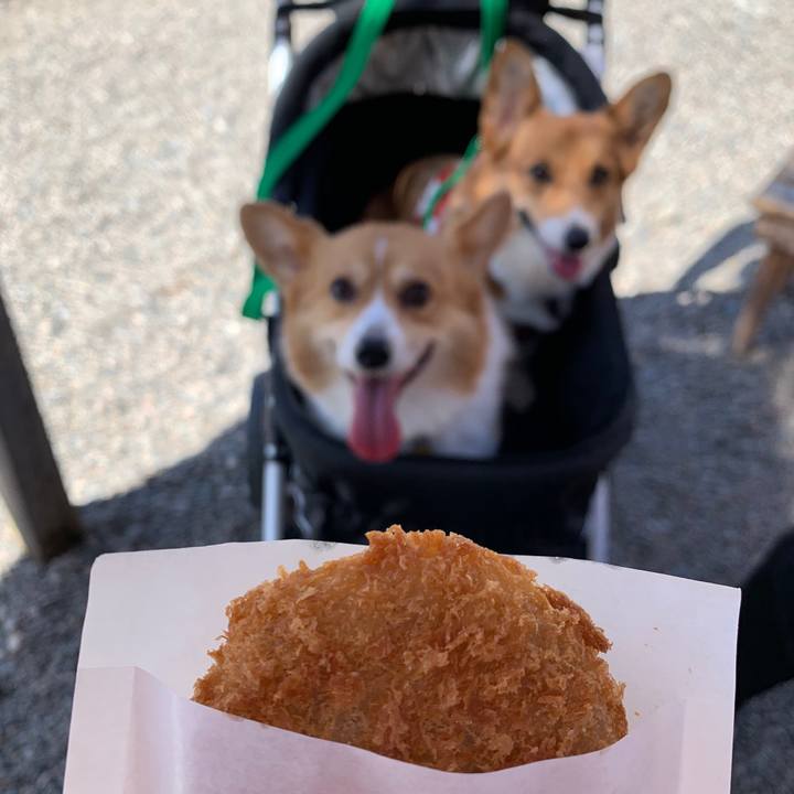 9ee8b7dd 9941 4ed4 b468 f392c1ceead4 1569038505843