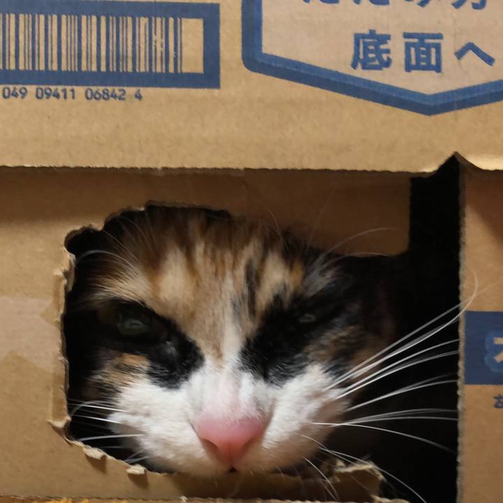 9ee8c0ac 5f62 4ad9 9dcf f31c463cca5b 1587740366259