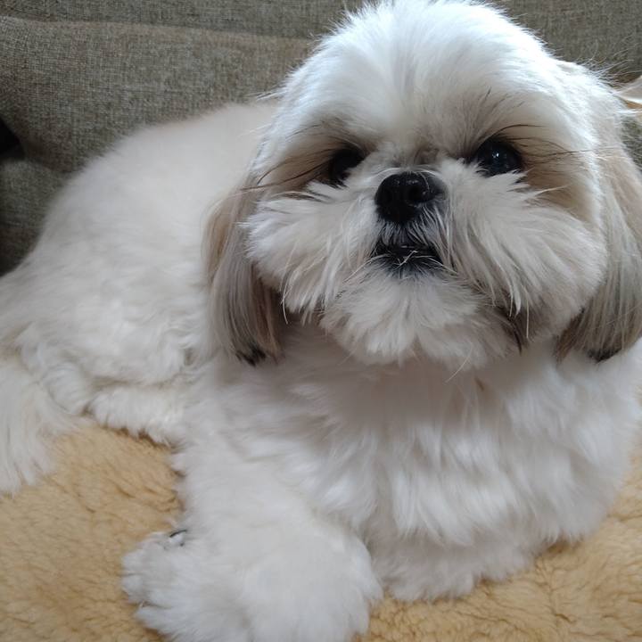 9ee8db45 6a6b 4e13 86a4 67ae5f700df9 1644578110857