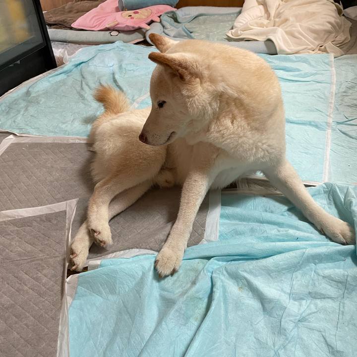 9ee9097f 4fa5 4bd0 ab1c 40717bd2f25a 1634181726628