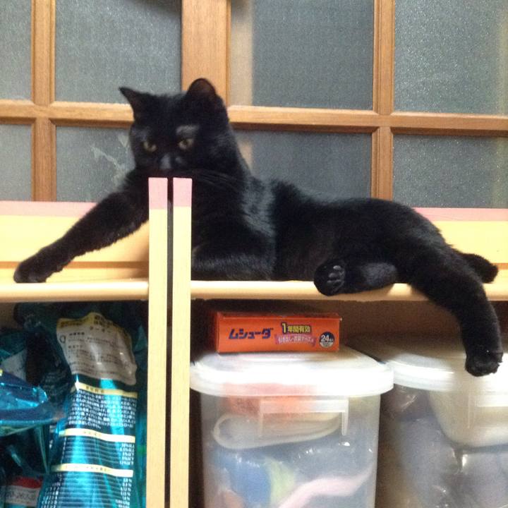 9ee95e00 6de5 4876 9030 25a48468ae38 1530624347290