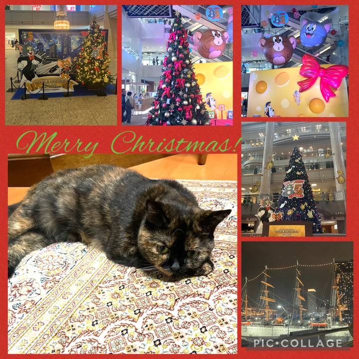 9ee9f708 d35b 48ea 80cb cc5786151d01 1766571763917