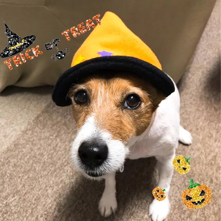 9ee9ff14 86aa 4e18 a9fa 292a239d1bb7 1540940460393