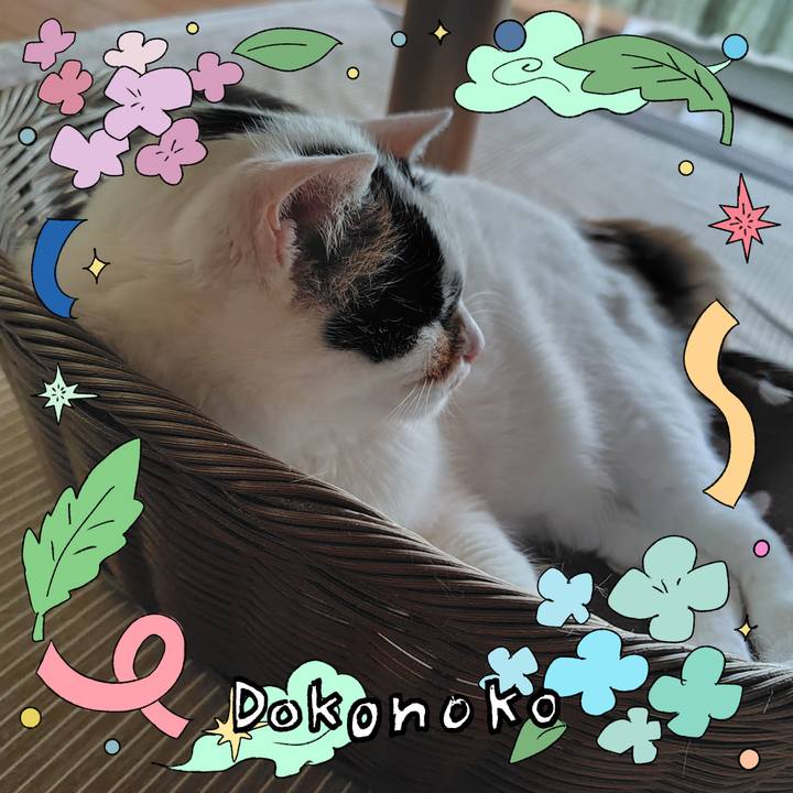 9eea4b2d 9e54 4700 a83a df55619fbc23 1718453133283