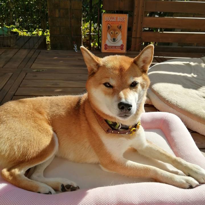 9eea8b66 9cde 48b6 9c98 dabfcc7efa20 1603688204574